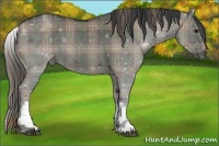 Horse Color:Plaid White Spotted Grullo Sabino Rabicano
