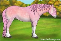Horse Color:Watercolor Blue Onyx Rabicano