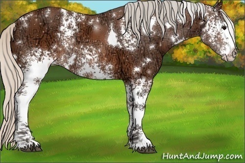Horse Color:White Spotted Silver Brown Ice Rabicano