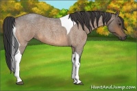 Horse Color:Buckskin Roan Tobiano 