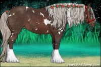 Horse Color:White Spotted Silver Brown
