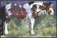 Horse Color:White Spotted Brown Splash Tobiano
