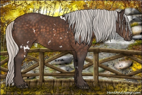 Horse Color:White Spotted Silver Brown 