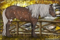 Horse Color:White Spotted Silver Brown