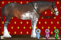 Horse Color:Brown Sabino 