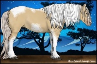 Horse Color:Silver Bay Dun Sabino Tobiano Frame Rabicano 