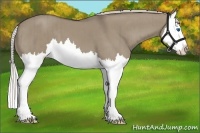 Horse Color:Silver Grullo Splash Brindle