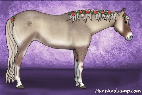 Horse Color:Silver Blue Onyx Roan