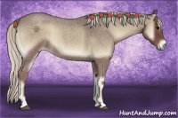 Horse Color:Silver Blue Onyx Roan 