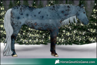 Horse Color:ERROR: UNKNOWN ANOMALY