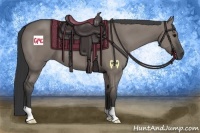 Horse Color:Grullo 