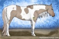 Horse Color:Silver Grullo Tobiano 