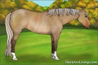Horse Color:Silver Brown Dun Rabicano