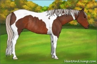 Horse Color:Silver Brown Tobiano Rabicano 