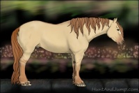Horse Color:Red Dun
