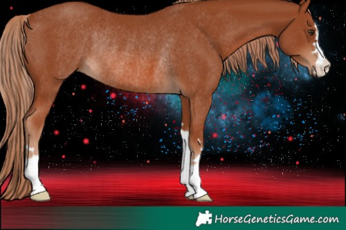 Horse Color:Chestnut Rabicano 