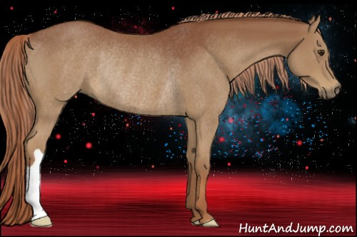 Horse Color:Chestnut Rabicano 