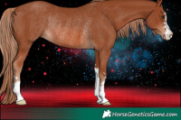 Horse Color:Chestnut Rabicano 