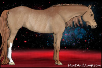 Horse Color:Chestnut Rabicano 