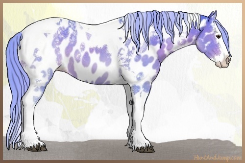 Horse Color:Watercolor Chocolate Palomino Splash Tobiano Appaloosa 