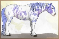 Horse Color:Watercolor Chocolate Palomino Splash Tobiano Near Leopard 