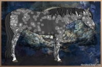 Horse Color:Black Ice 