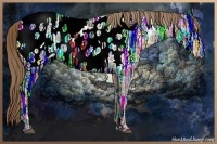 Horse Color:Liver Chestnut Ice Appaloosa 