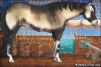 Horse Color:Brown Onyx Sabino Splash  and Brown Onyx Sabino 