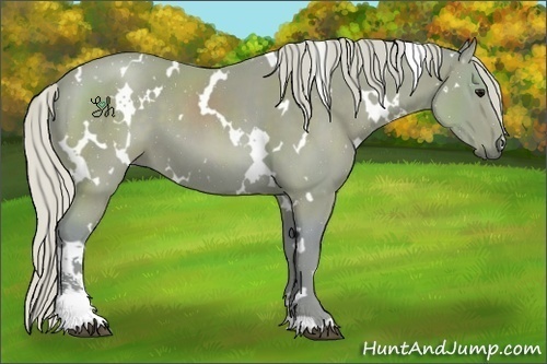 Horse Color:Watercolor White Spotted Silver Black Sabino 