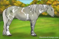 Horse Color:Watercolor White Spotted Silver Black Sabino