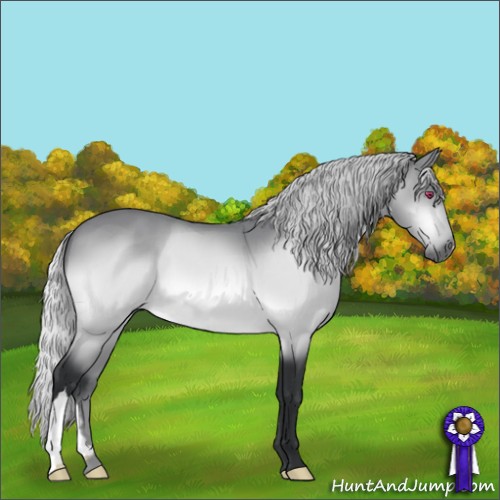 Horse Color:Silver Brown Chinchilla 