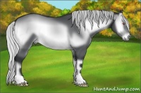 Horse Color:Silver Buckskin Chinchilla Onyx