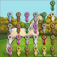 Horse Color:Sable Champagne Dun Tobiano Appaloosa