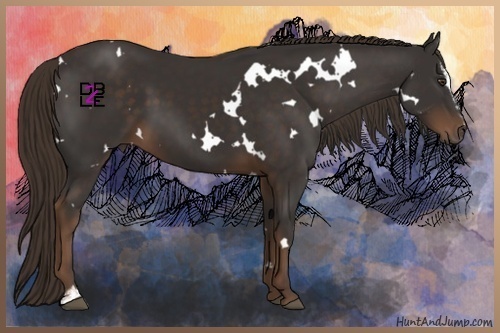 Horse Color:White Spotted Liver Chestnut Sabino 