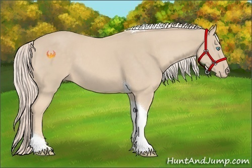 Horse Color:Cremello Tobiano 