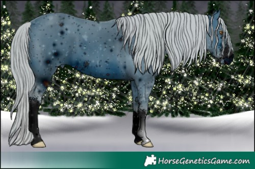 Horse Color:ERROR: UNKNOWN ANOMALY