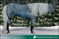 Horse Color:ERROR: UNKNOWN ANOMALY