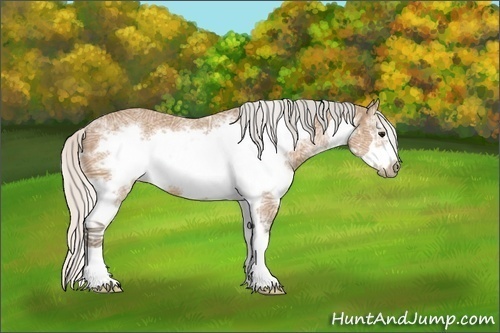 Horse Color:Silver Bay Ice Splash Frame