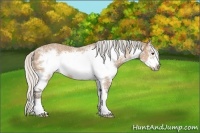 Horse Color:Silver Bay Ice Splash Frame