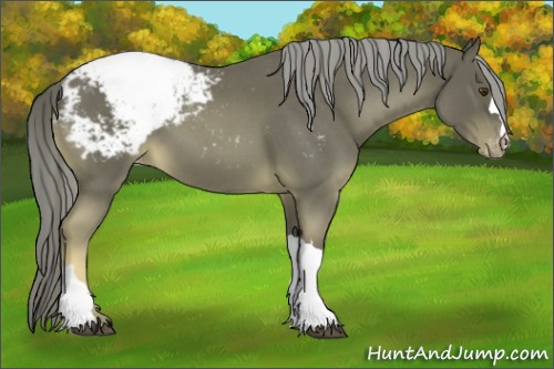 Horse Color:Chocolate Palomino Roan Mushroom Snowcap 