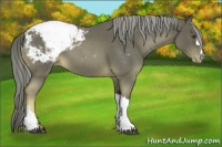 Horse Color:Chocolate Palomino Roan Mushroom Snowcap 