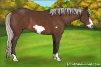 Horse Color:Silver Brown Frame 