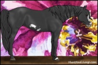 Horse Color:Black Frame
