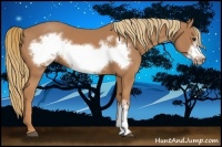 Horse Color:Chestnut Frame