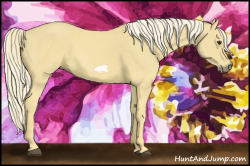 Horse Color:Palomino Frame 
