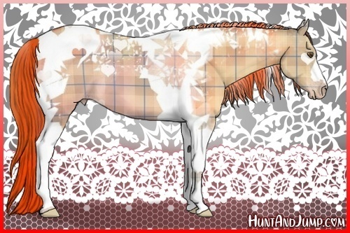 Horse Color:Plaid  Classic Champagne Dun Tobiano 