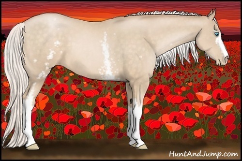 Horse Color:White Spotted Silver Buckskin Pearl 