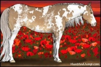 Horse Color:White Spotted Silver Brown Dun 