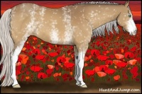 Horse Color:White Spotted Silver Buckskin 