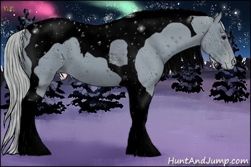 Horse Color:ERROR: UNKNOWN ANOMALY